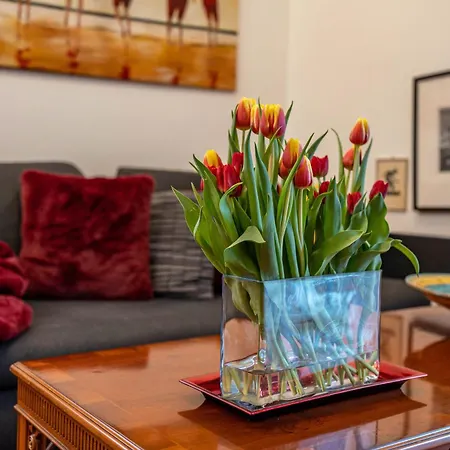 Sommerhauptstadt Europas Appartement